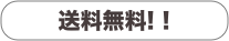 送料無料! !